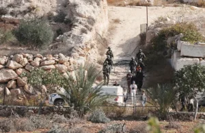 هيئة فلسطينية: إسرائيل تقتلع حوالي 49 ألف شجرة بالضفة الغربية خلال عامين